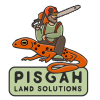 Pisgah Land Solutions Logo