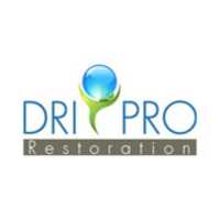 Dri Pro Restoration Logo