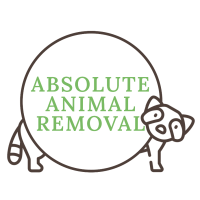 Absolute Animal Removal Logo