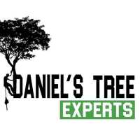 Daniel's Tree Experts Logo