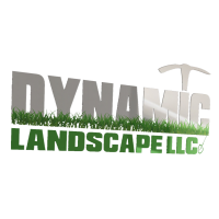 Dynamic Landscape Logo