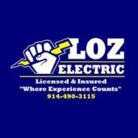 LOZ ELECTR1C Logo