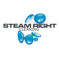Steam Right Cleaning Logo