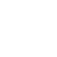 Esthetically Flawless Logo