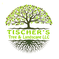Tischer's Tree & Landscape Logo