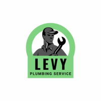 Levy & Son Service Experts Logo