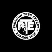 Paragon Tree Expert Logo