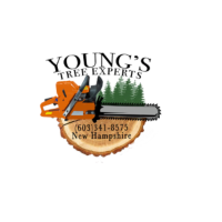 Young's Tree Experts Logo