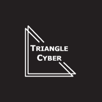 Triangle IT Group Logo