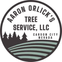 Aaron Orlick's Tree Service Logo