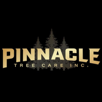 Thrill Capital Tree Service Logo