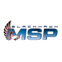 Blackhawk MSP LLC Logo
