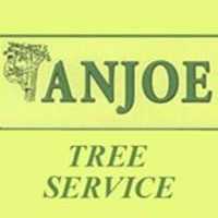 Anjoe Tree Service Logo