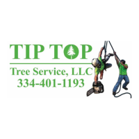 Tip-Top Tree Service Logo