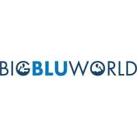 Big Blu World Logo