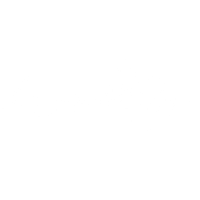 Risque' Rose Photography Logo