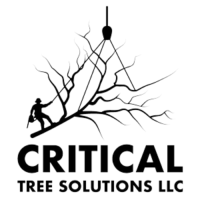 Critical Tree Solutions Logo