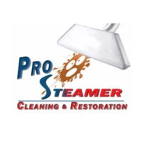 Pro Steamer Cleaning & Restoration Logo