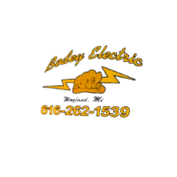 Bodey Electric Logo
