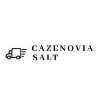 Cazenovia Salt Inc Logo