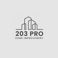 203 Pro Home Improvement Logo