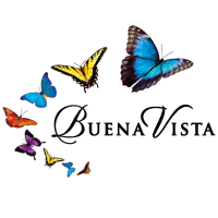 Buena Vista Hospice Logo