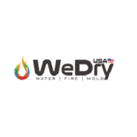 WeDry USA Logo