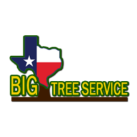Big Tree Service Logo