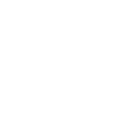Nelson's Speed Shop Logo