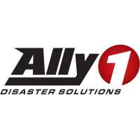 Ally1 Disaster Solutions Logo