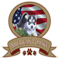 American Pomsky Logo