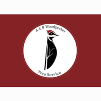 A&R Woodpeckers Tree Service Logo