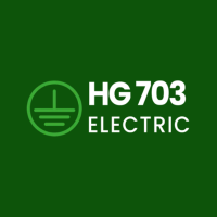HG 703 Electric Logo