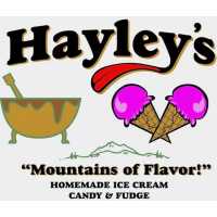 Hayley's Ice Cream Logo