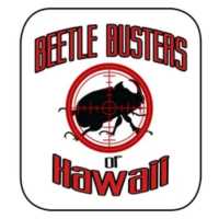 The Beetle Busters Hawaii Logo