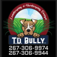 T.D. Bully Logo