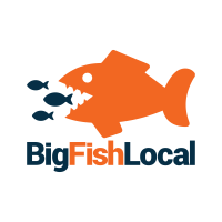 Big Fish Local - Web Design & Digital Marketing Agency Logo