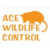 Ace Wildlife Control Logo