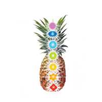 The Divine Pineapple: Therapeutic and Wellness Center Logo