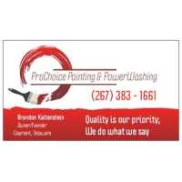 ProChoice Painting & PowerWashing, LLC Logo