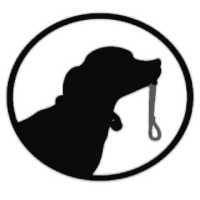 Ace Adventures Dog Training, LLC. Logo