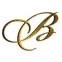 Bronze Beauty Bar Logo