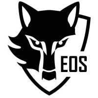 Eyes On Security, LLC Logo