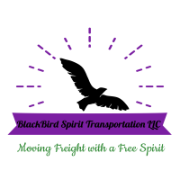 blackbird spirit transportation llc Logo