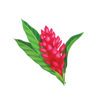 OCI Polynesian Store Logo