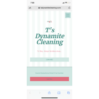 T's Dynamite Cleaning Logo