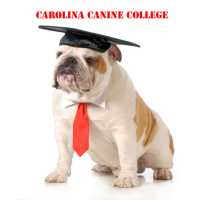 Carolina Canine College Logo