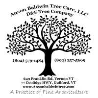 ANSON BALDWIN TREE CARE, LLC Logo