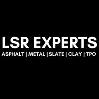 LSR EXPERTS Logo