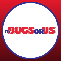 Itâ€™s Bugs Or Us Pest Control - Bay City Logo